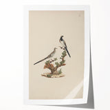 Vintage Animal Art - Birds on Branch - Retro Animal Prints