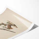 Vintage Animal Art - Birds on Branch - Retro Animal Prints