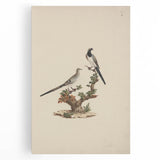 Vintage Animal Art - Birds on Branch - Retro Animal Prints