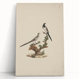 Vintage Animal Art - Birds on Branch - Retro Animal Prints