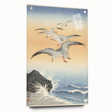Vintage Animal Art - Seagulls Over the Ocean - Retro Animal Prints