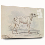 Vintage Animal Art – Handcrafted Dalmatian Dog Illustration