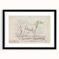 Vintage Animal Art – Handcrafted Dalmatian Dog Illustration