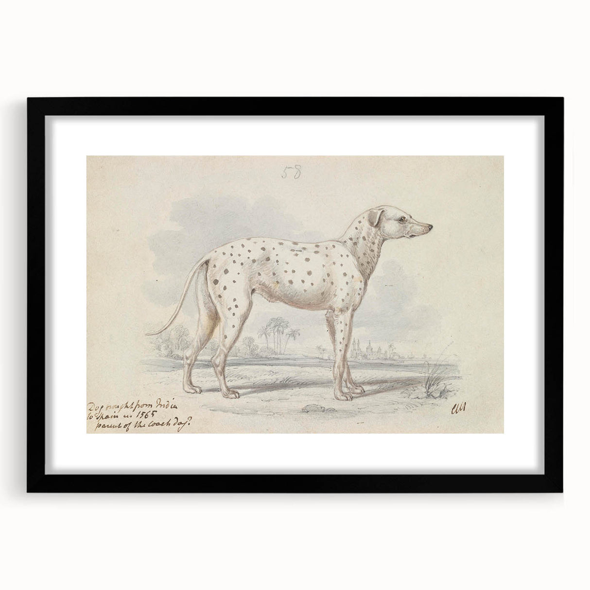 Vintage Animal Art – Handcrafted Dalmatian Dog Illustration