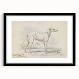 Vintage Animal Art – Handcrafted Dalmatian Dog Illustration