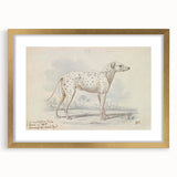 Vintage Animal Art – Handcrafted Dalmatian Dog Illustration