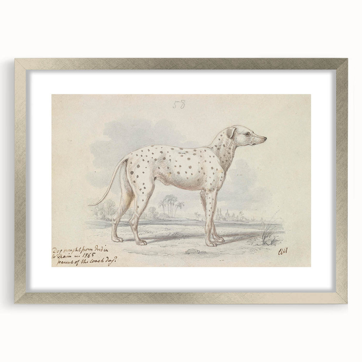 Vintage Animal Art – Handcrafted Dalmatian Dog Illustration