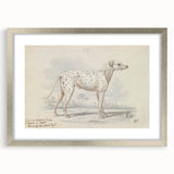 Vintage Animal Art – Handcrafted Dalmatian Dog Illustration