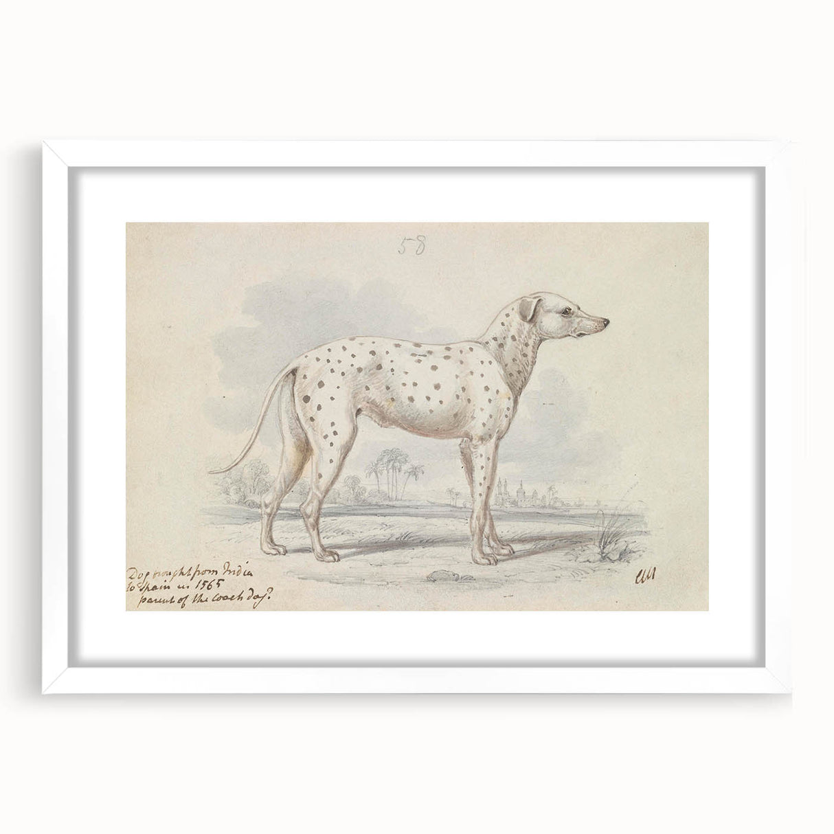 Vintage Animal Art – Handcrafted Dalmatian Dog Illustration
