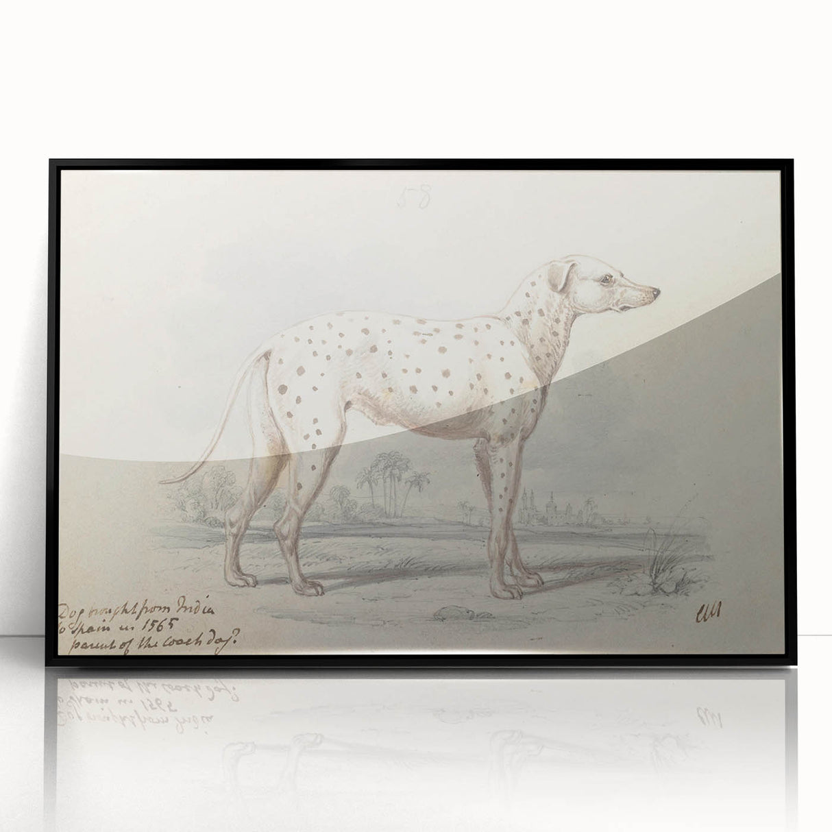 Vintage Animal Art – Handcrafted Dalmatian Dog Illustration