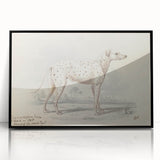 Vintage Animal Art – Handcrafted Dalmatian Dog Illustration