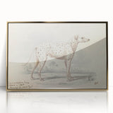 Vintage Animal Art – Handcrafted Dalmatian Dog Illustration