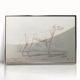 Vintage Animal Art – Handcrafted Dalmatian Dog Illustration