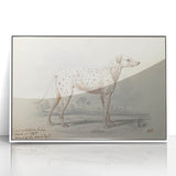 Vintage Animal Art – Handcrafted Dalmatian Dog Illustration