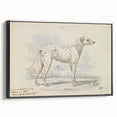 Vintage Animal Art – Handcrafted Dalmatian Dog Illustration