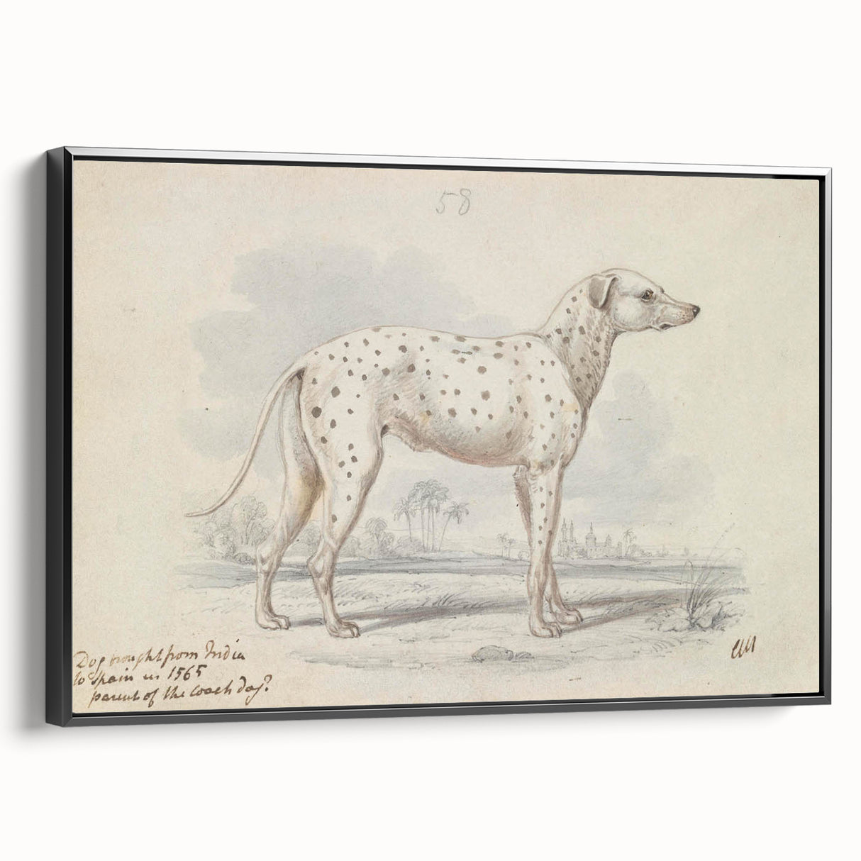 Vintage Animal Art – Handcrafted Dalmatian Dog Illustration