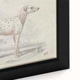 Vintage Animal Art – Handcrafted Dalmatian Dog Illustration