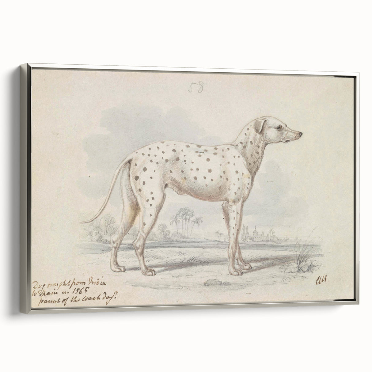 Vintage Animal Art – Handcrafted Dalmatian Dog Illustration