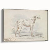 Vintage Animal Art – Handcrafted Dalmatian Dog Illustration