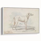 Vintage Animal Art – Handcrafted Dalmatian Dog Illustration