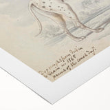 Vintage Animal Art – Handcrafted Dalmatian Dog Illustration