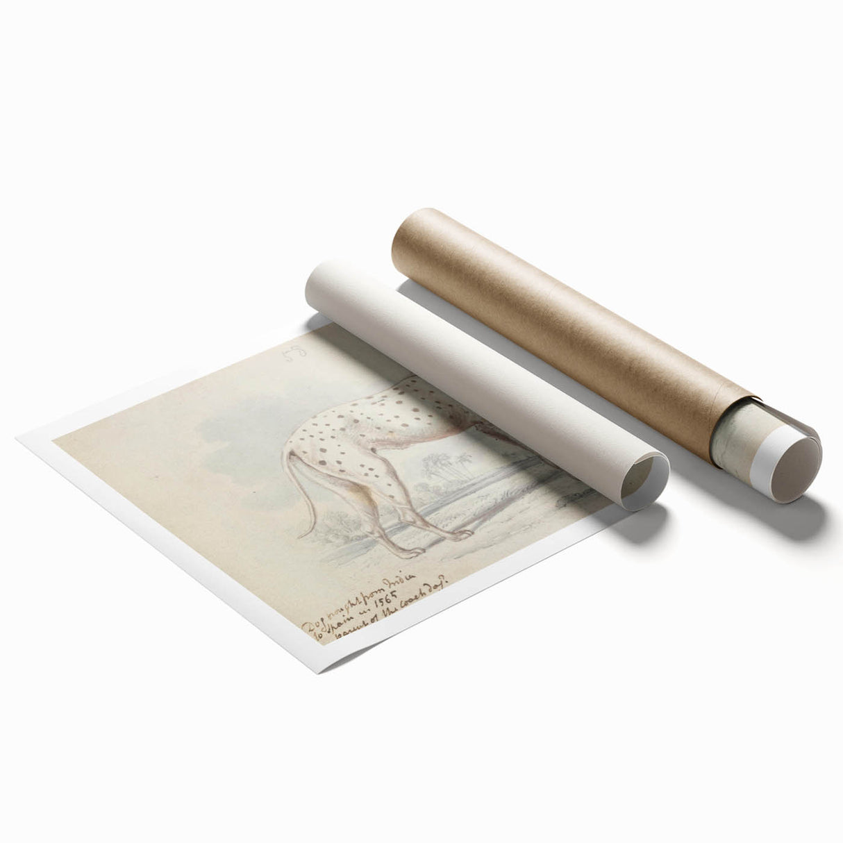 Vintage Animal Art – Handcrafted Dalmatian Dog Illustration