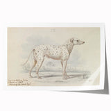 Vintage Animal Art – Handcrafted Dalmatian Dog Illustration
