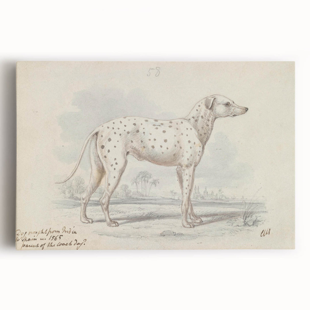 Vintage Animal Art – Handcrafted Dalmatian Dog Illustration