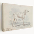Vintage Animal Art – Handcrafted Dalmatian Dog Illustration
