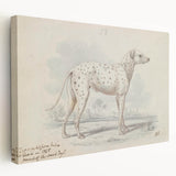 Vintage Animal Art – Handcrafted Dalmatian Dog Illustration