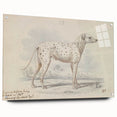 Vintage Animal Art – Handcrafted Dalmatian Dog Illustration