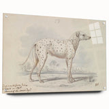 Vintage Animal Art – Handcrafted Dalmatian Dog Illustration