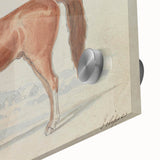 Vintage Horse Illustration - Elegant Animal Wall Art Print