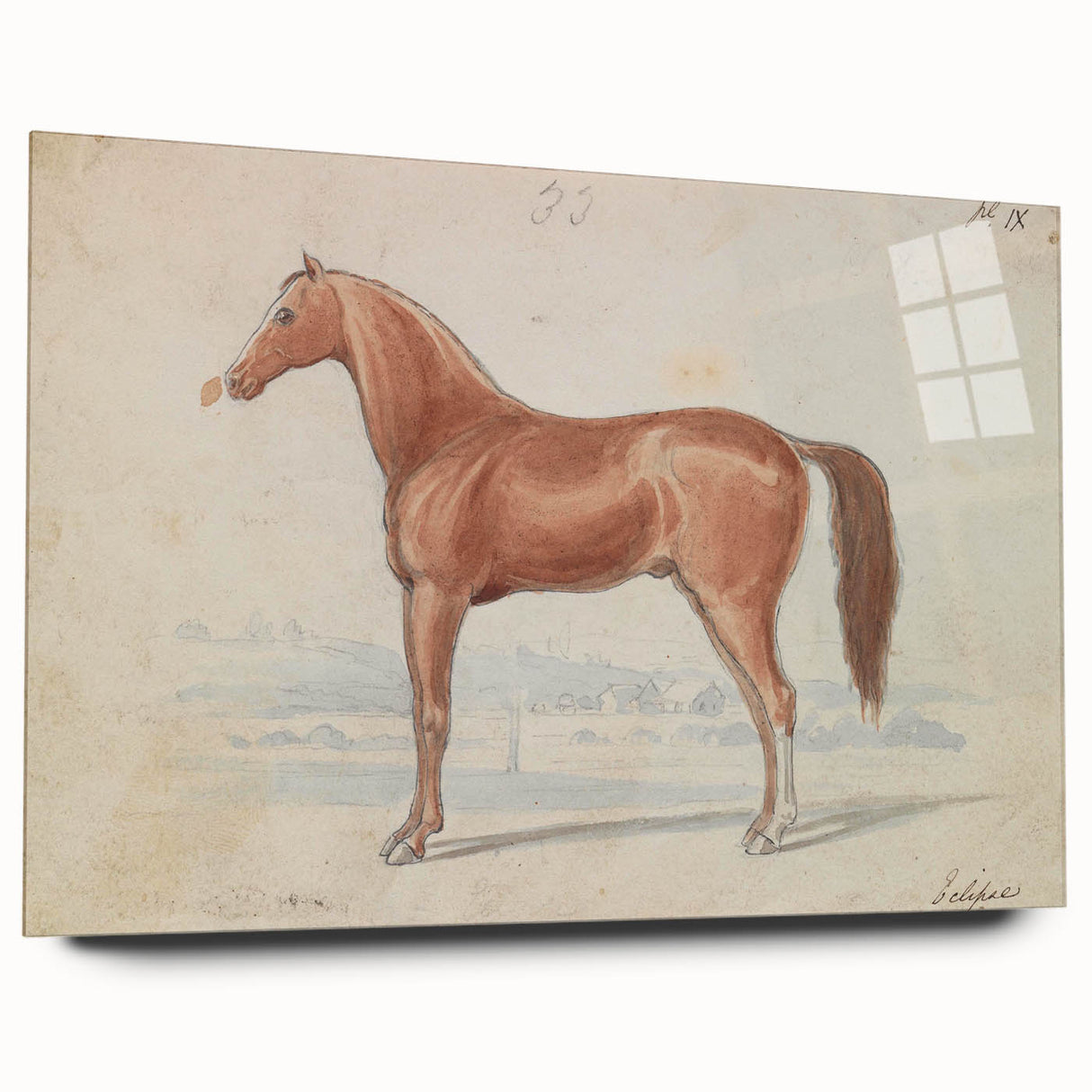 Vintage Horse Illustration - Elegant Animal Wall Art Print