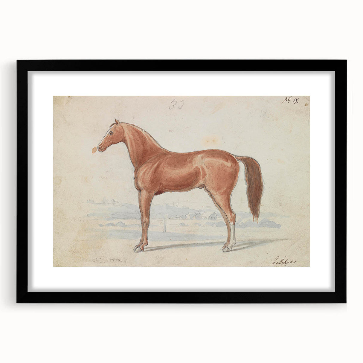 Vintage Horse Illustration - Elegant Animal Wall Art Print