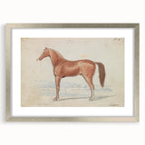 Vintage Horse Illustration - Elegant Animal Wall Art Print