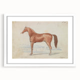 Vintage Horse Illustration - Elegant Animal Wall Art Print