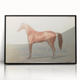 Vintage Horse Illustration - Elegant Animal Wall Art Print