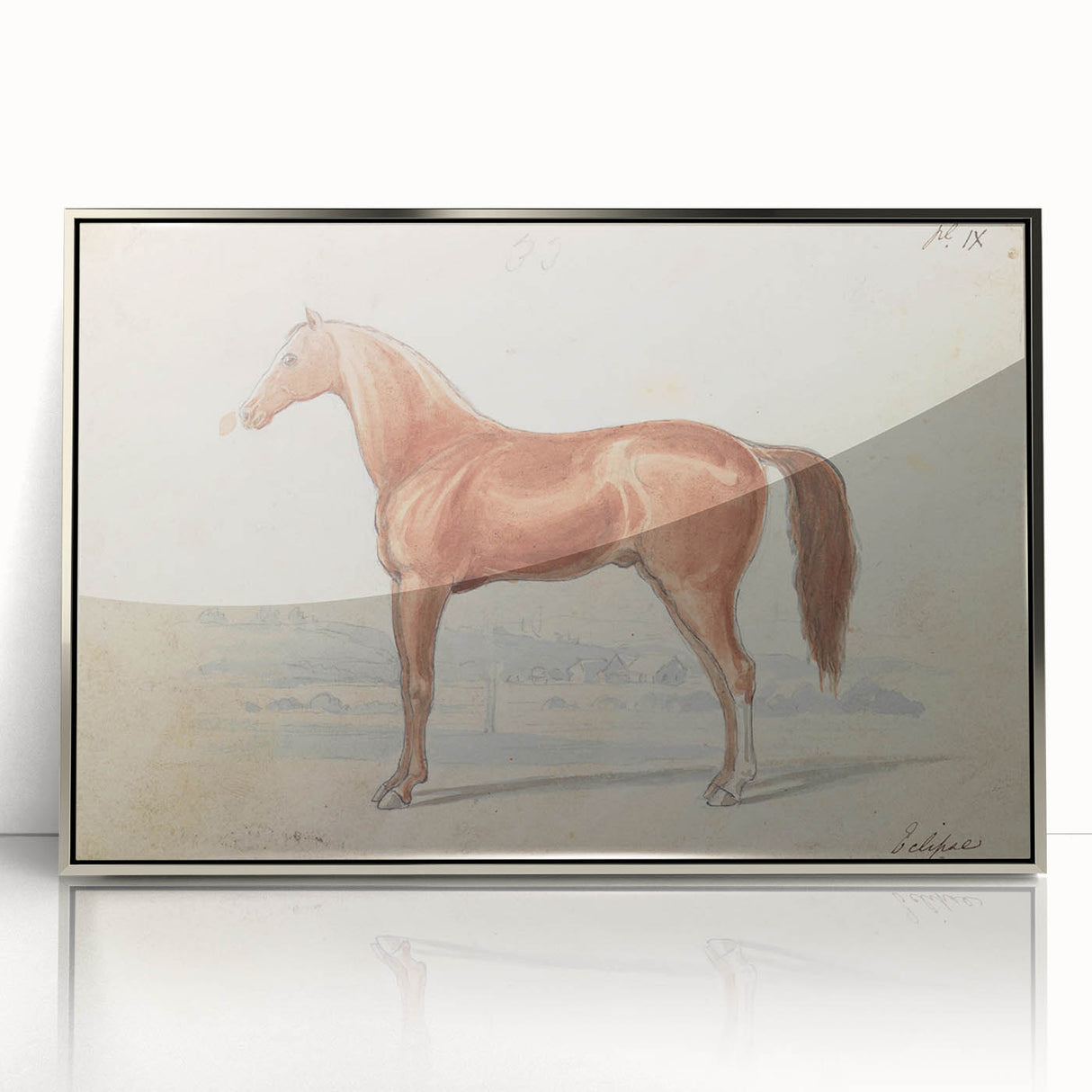 Vintage Horse Illustration - Elegant Animal Wall Art Print