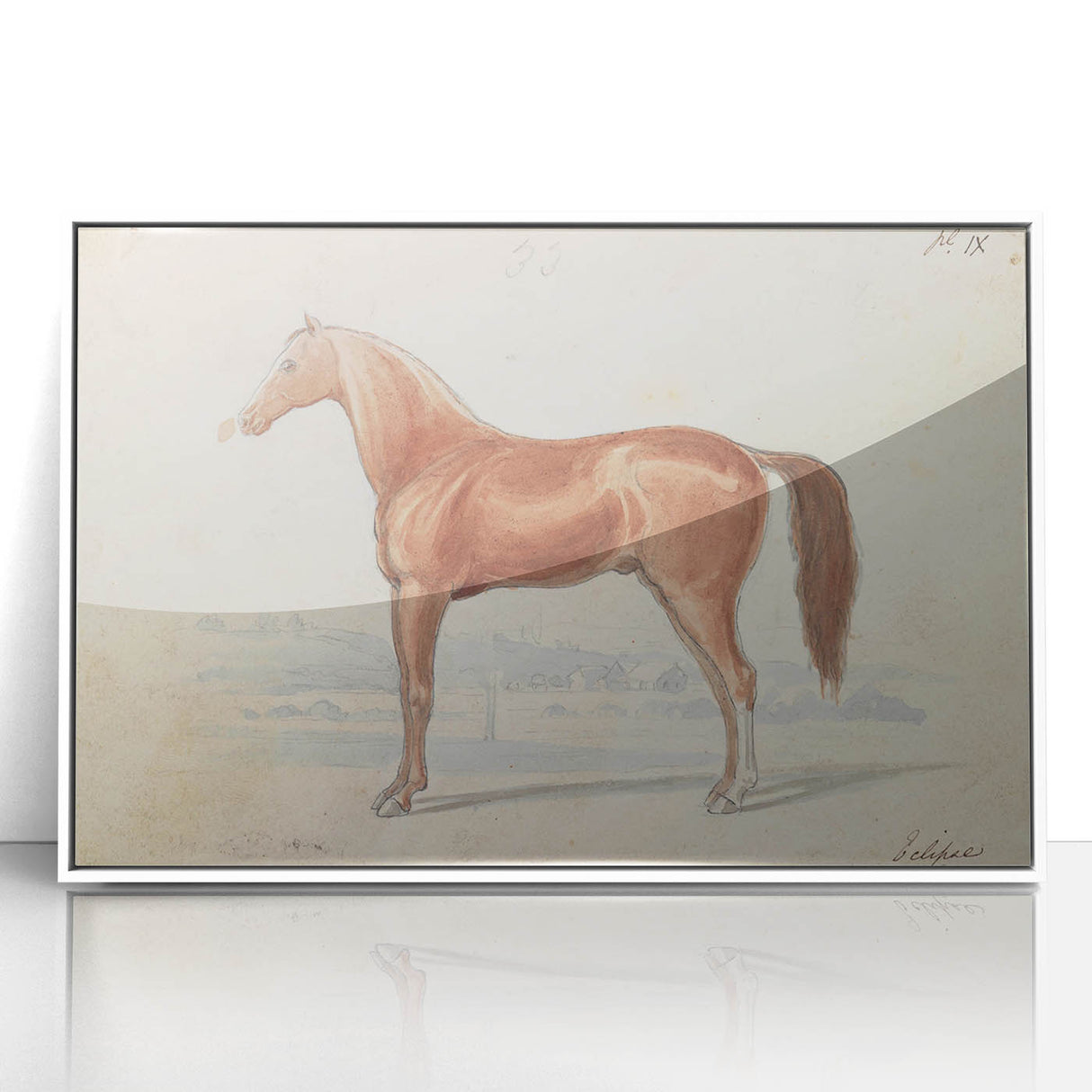 Vintage Horse Illustration - Elegant Animal Wall Art Print