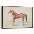 Vintage Horse Illustration - Elegant Animal Wall Art Print
