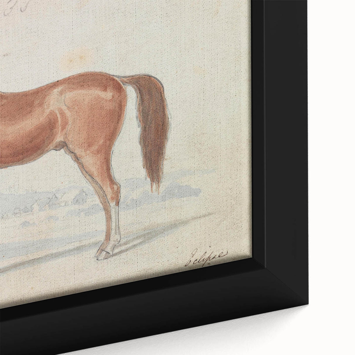 Vintage Horse Illustration - Elegant Animal Wall Art Print