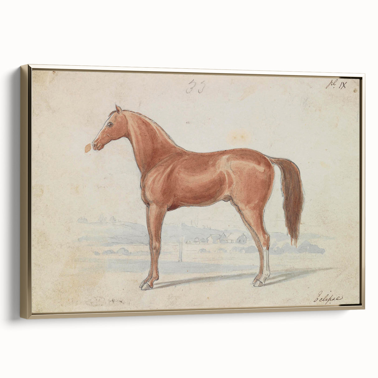 Vintage Horse Illustration - Elegant Animal Wall Art Print