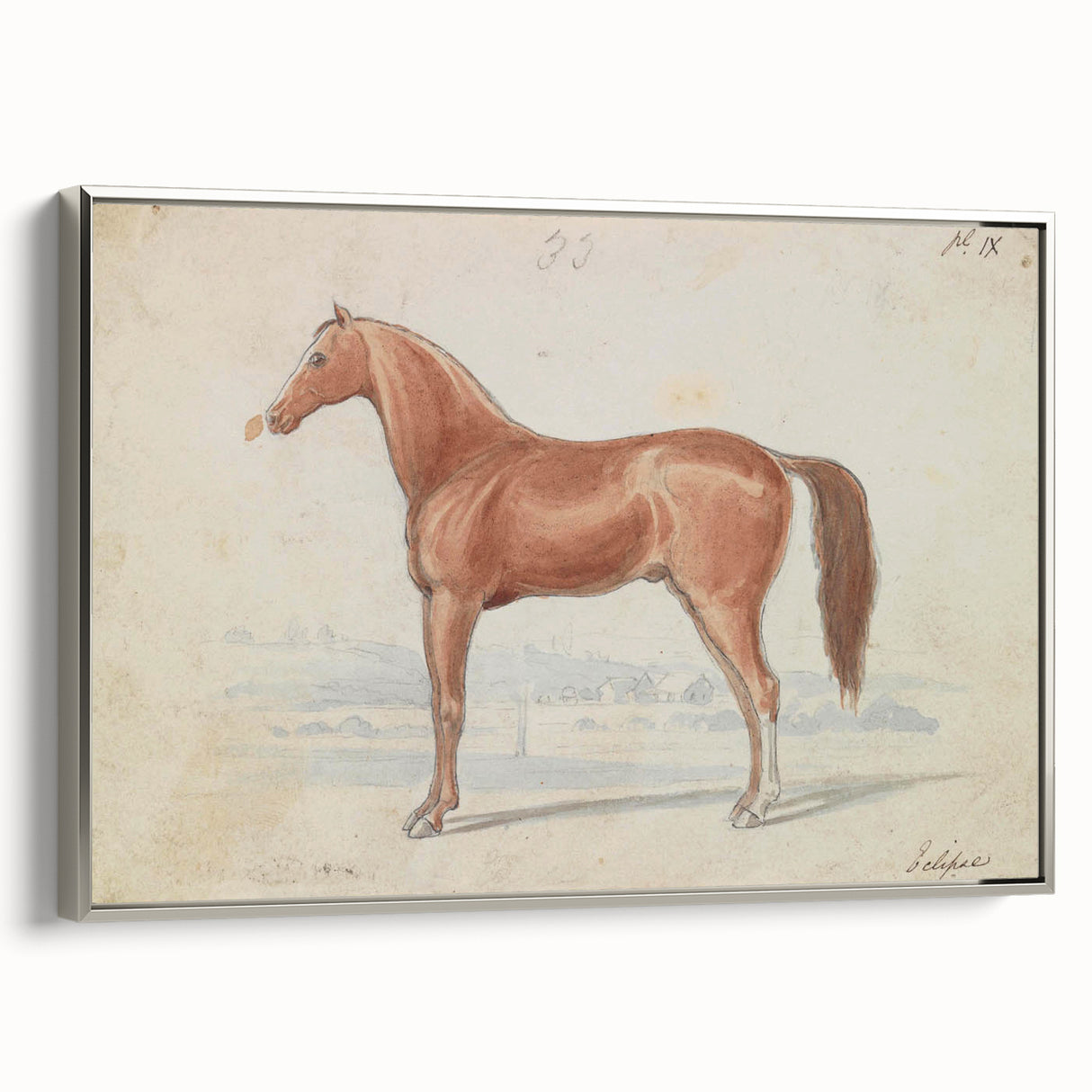 Vintage Horse Illustration - Elegant Animal Wall Art Print