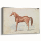 Vintage Horse Illustration - Elegant Animal Wall Art Print