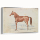 Vintage Horse Illustration - Elegant Animal Wall Art Print