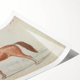 Vintage Horse Illustration - Elegant Animal Wall Art Print