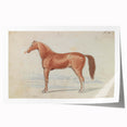 Vintage Horse Illustration - Elegant Animal Wall Art Print