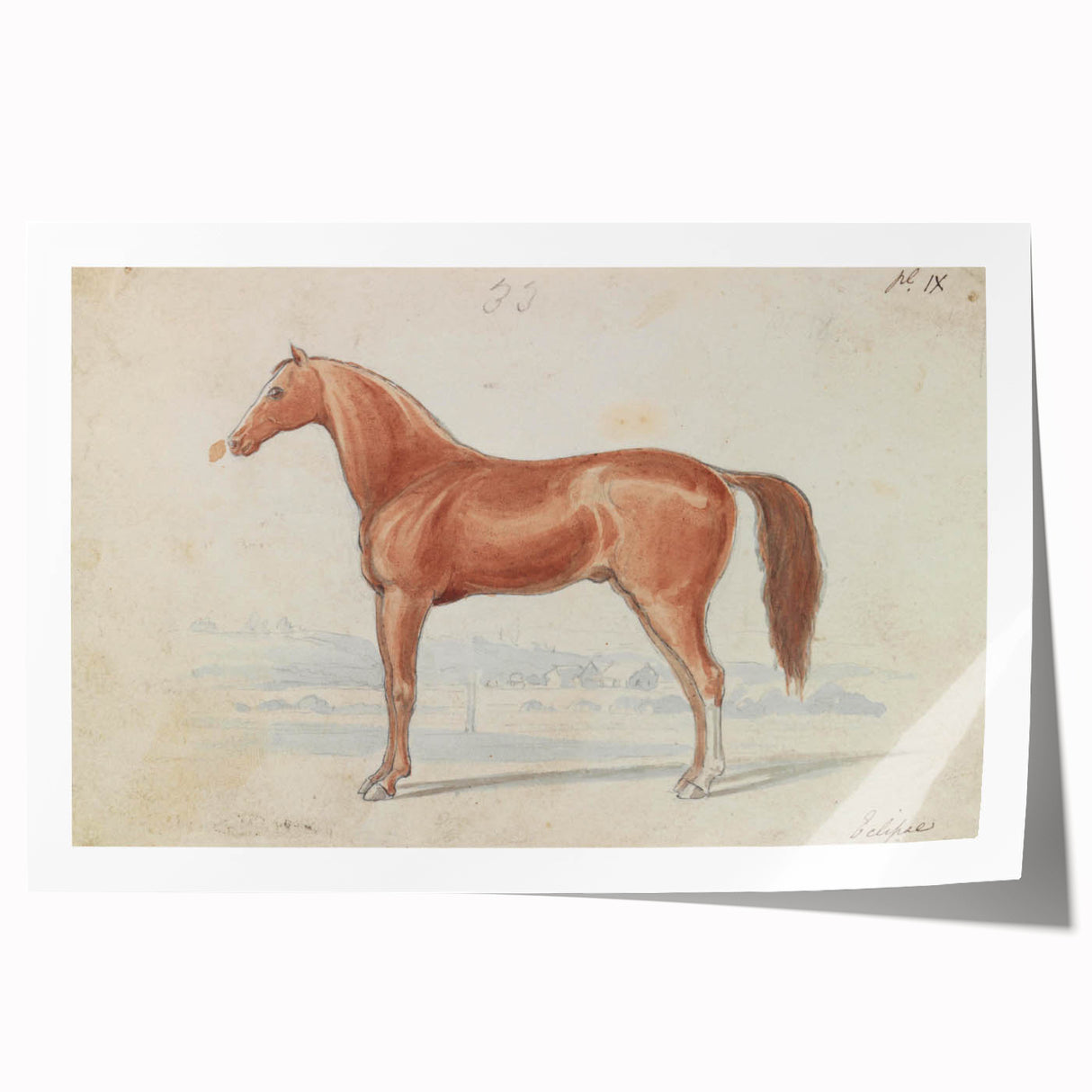 Vintage Horse Illustration - Elegant Animal Wall Art Print