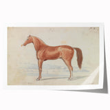 Vintage Horse Illustration - Elegant Animal Wall Art Print